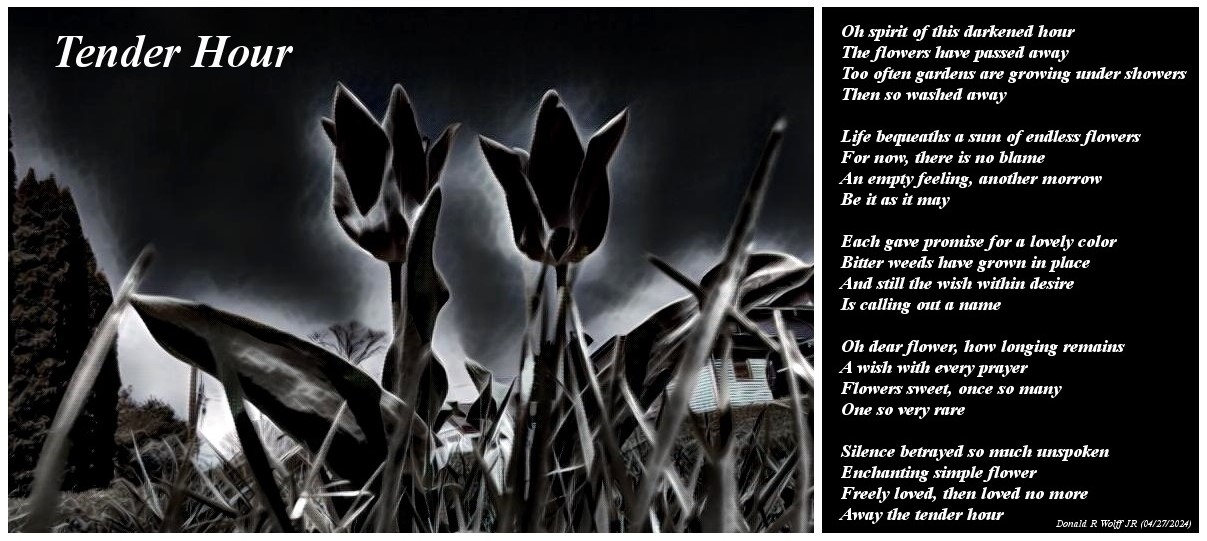 Tender Hour