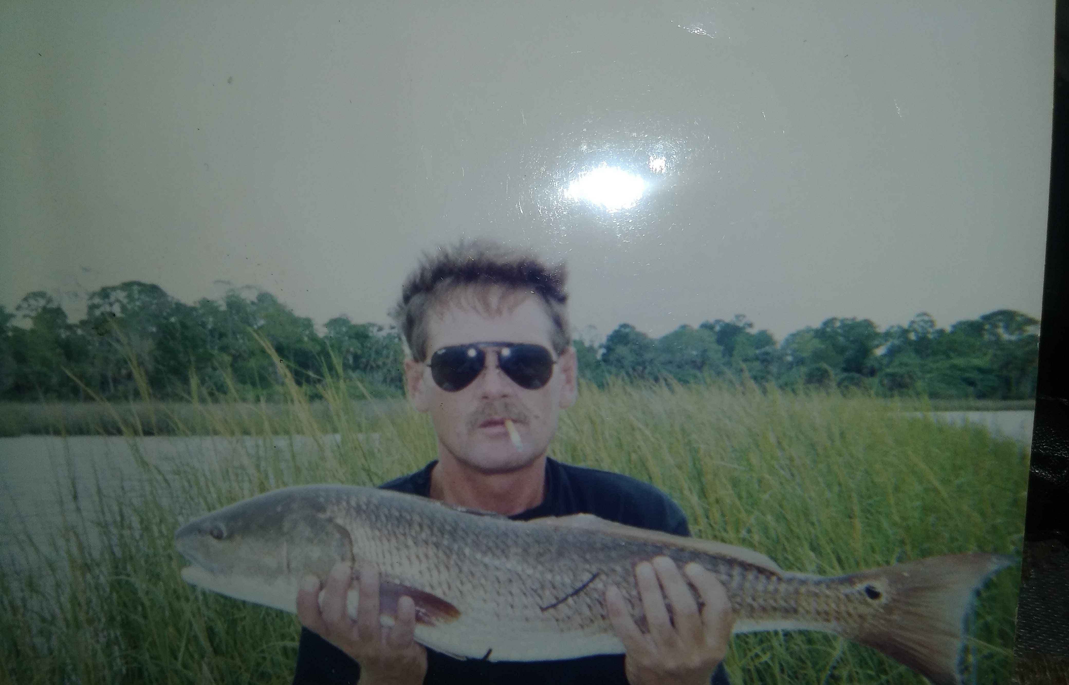 🐈‍⬛. The Rooster 🐈‍⬛.