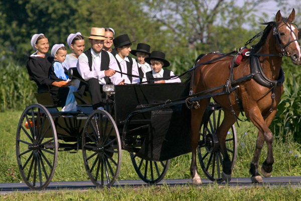 Amish Way Of Life