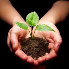 The Riverbank Revisited