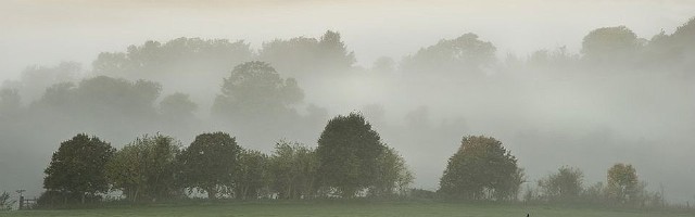 Fog And Maniacs