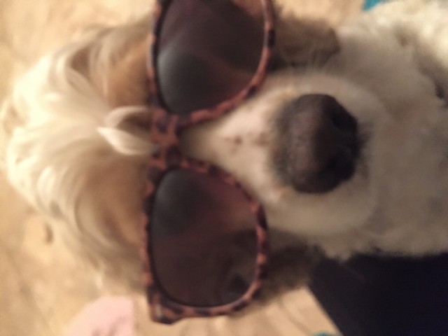 A Poem In The Key Of Jazz