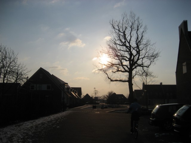 Dream Or Nightmare....?