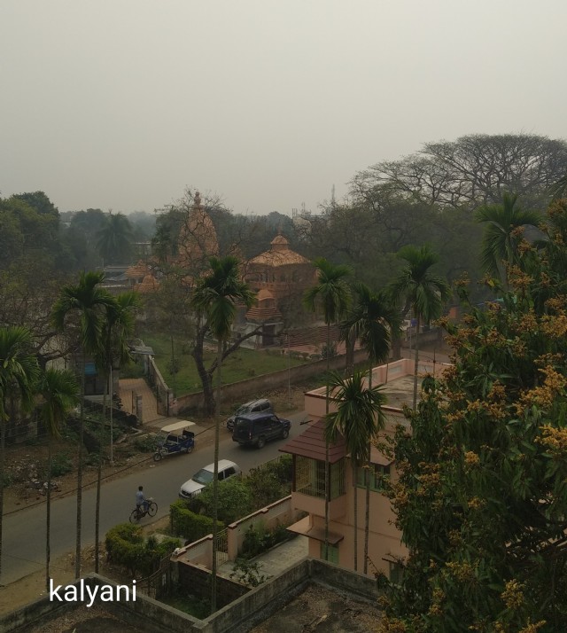 Kalyani