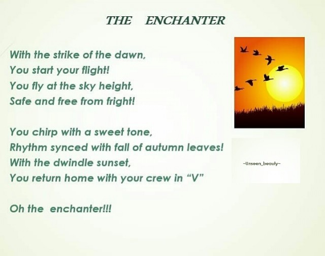 The Enchanter