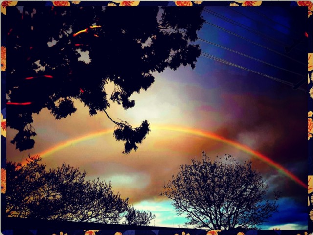A 'rainbow' Day