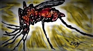 Mosquito
