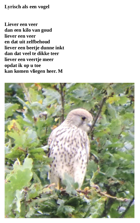 Lyrisch Als Een Vogel