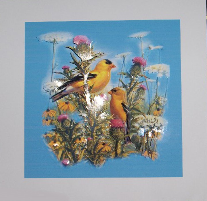 Canaries And Thistles