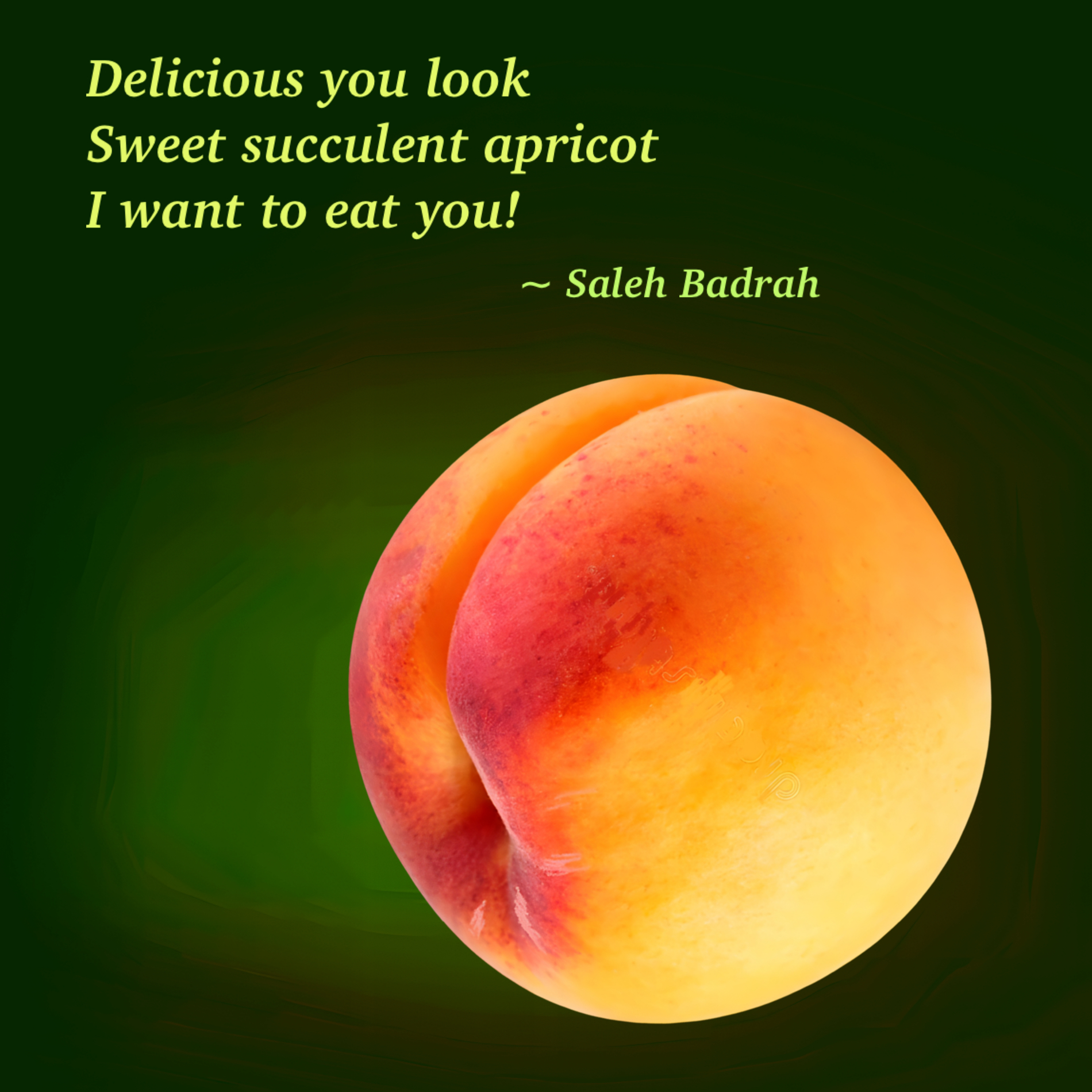 Sweet Succulent Apricot