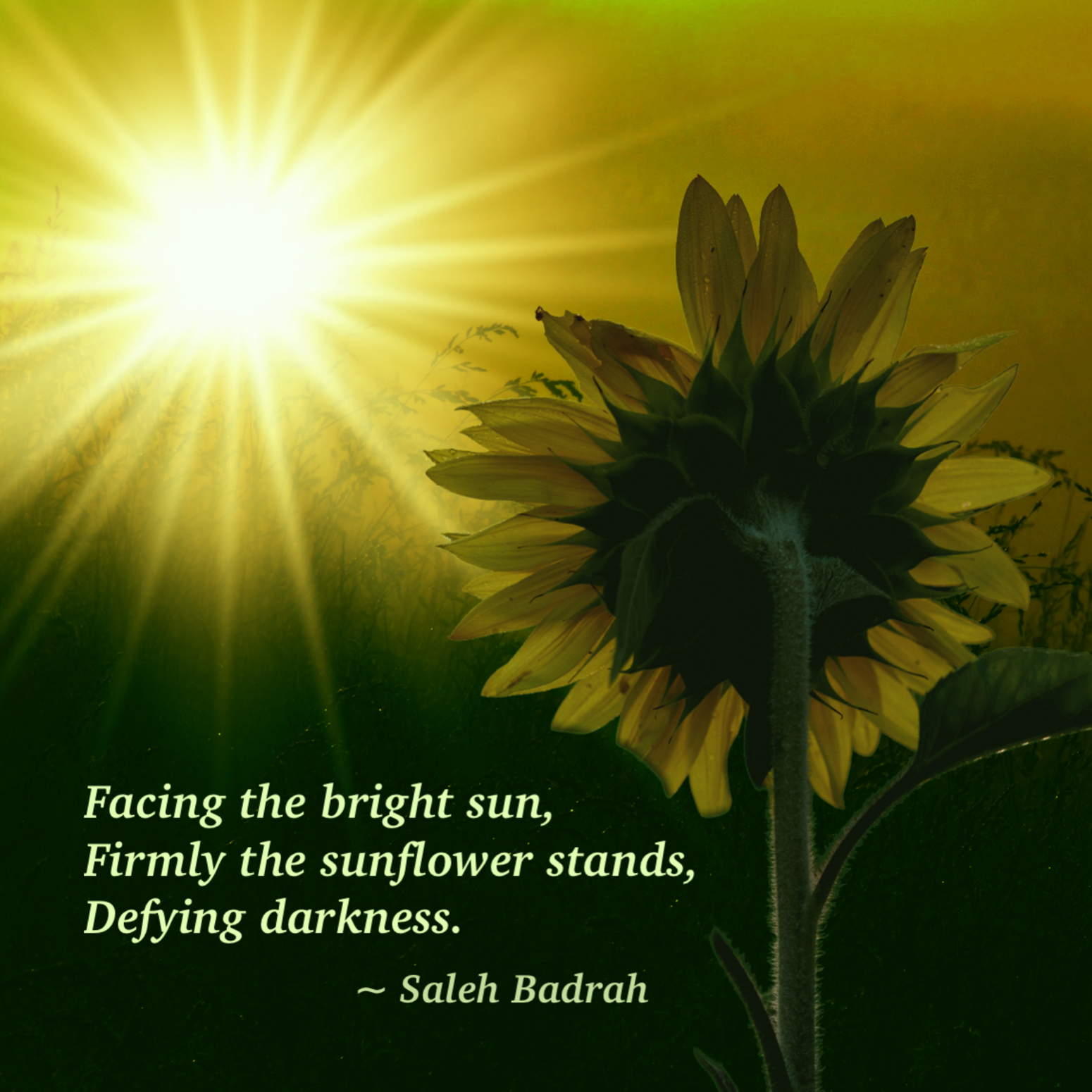 Defying Darkness