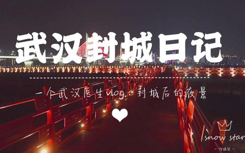 Wuhan Sealed The City