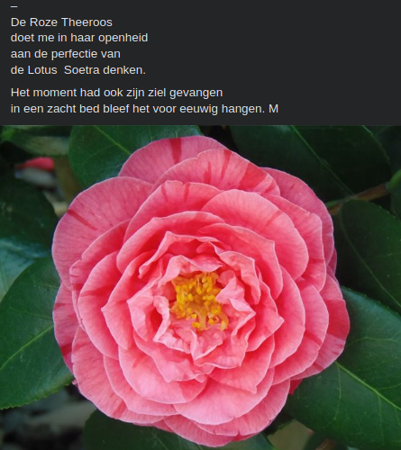 Een Set Japanse Sferen X