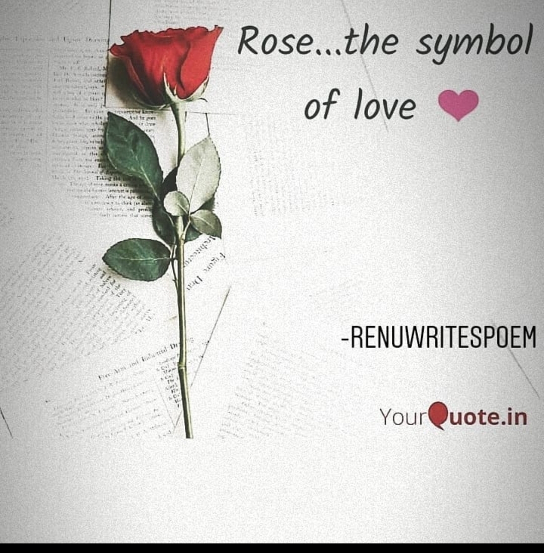 Rose...The Symbol Of Love