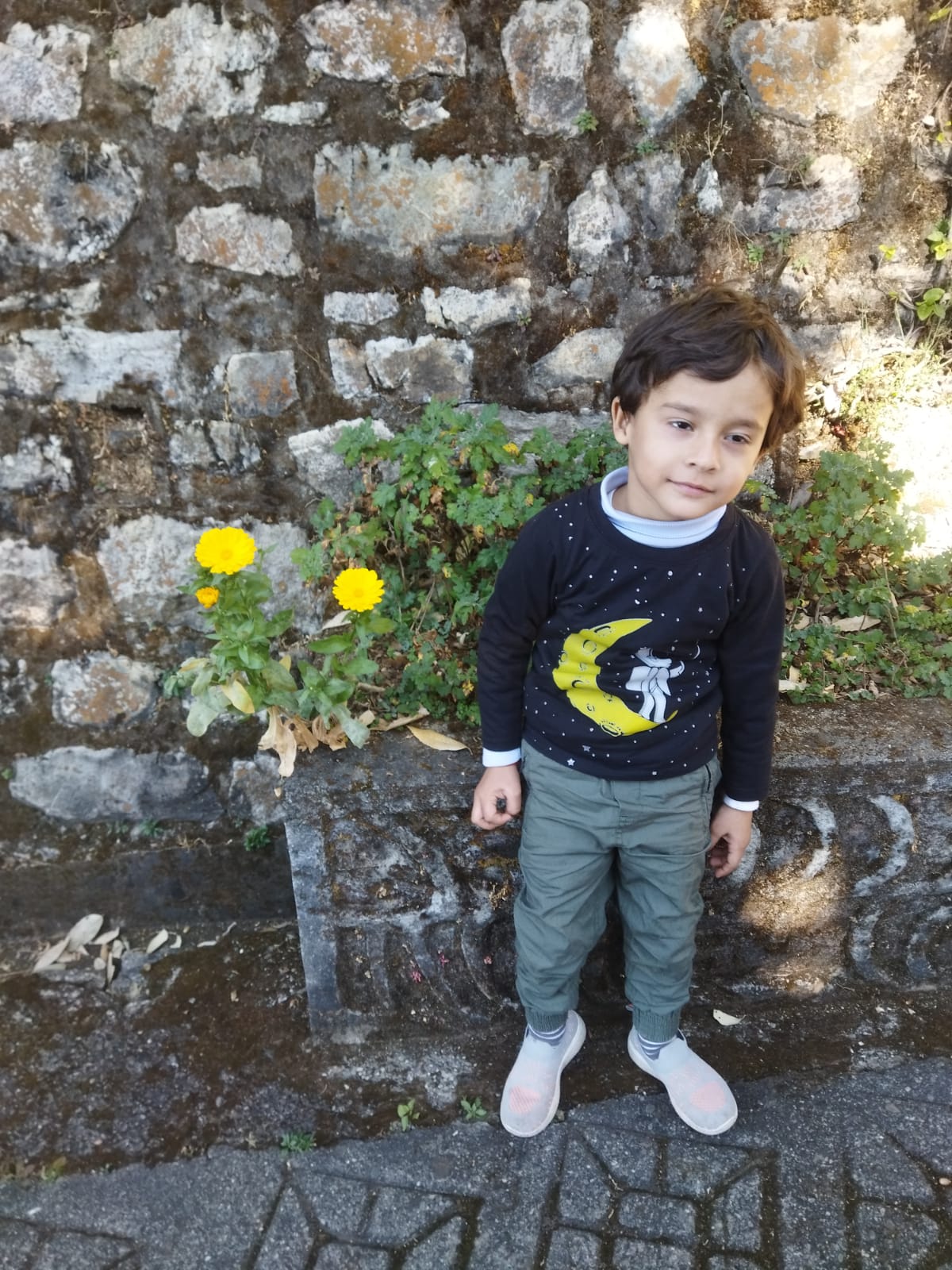 🇮🇳 गर्व से कहो — हम भारतीय हैं