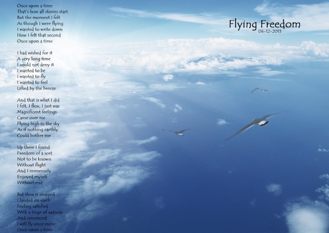 Flying Freedom