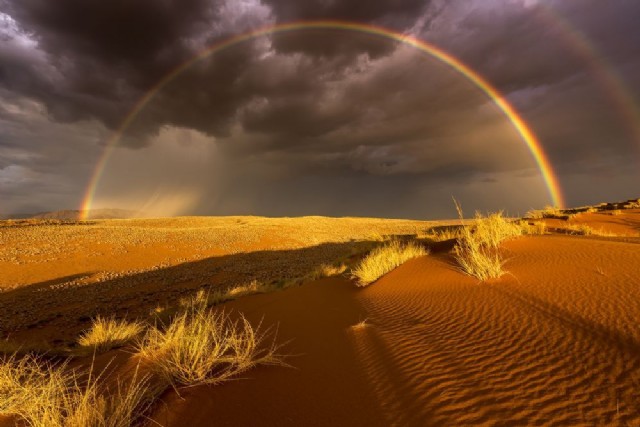 Rain In The Desert