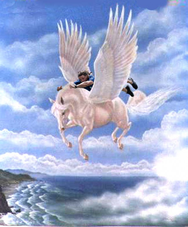 On Pegasus Born