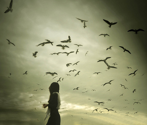 Poems Are Like Birds