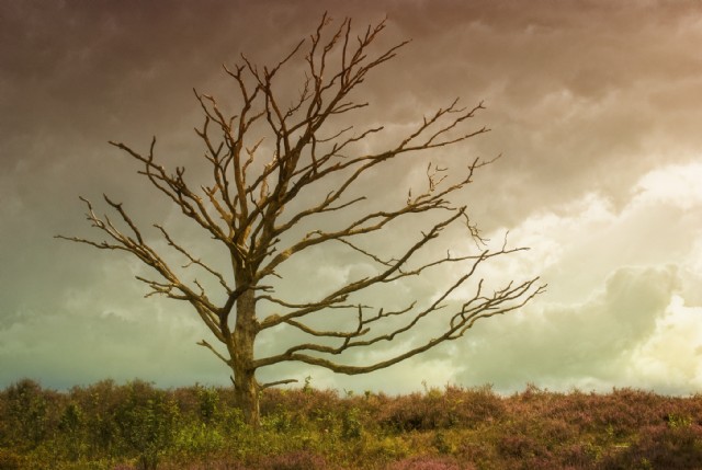 Weathering The Storms