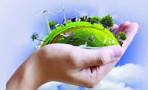 The World Contributes