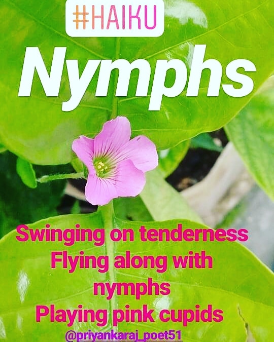 Nymphs