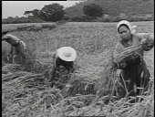 Tribute To The Farmer