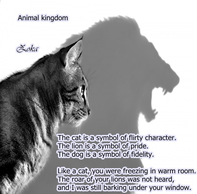 Animal Kingdom ~ Životinjsko Carstvo