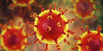 Corona Lesson Version # 8