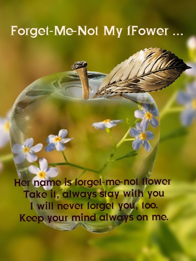 Forget-Me-Not My Flower...