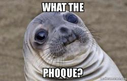 A Seal Is A Phoque