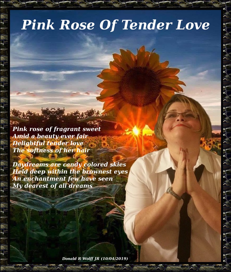 Pink Rose Of Tender Love