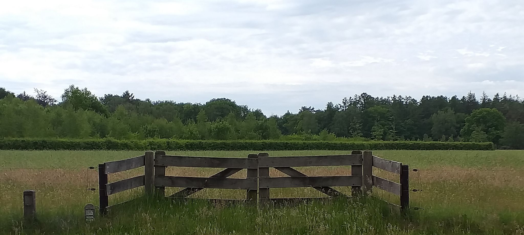 [ Om Het Groene Land ]