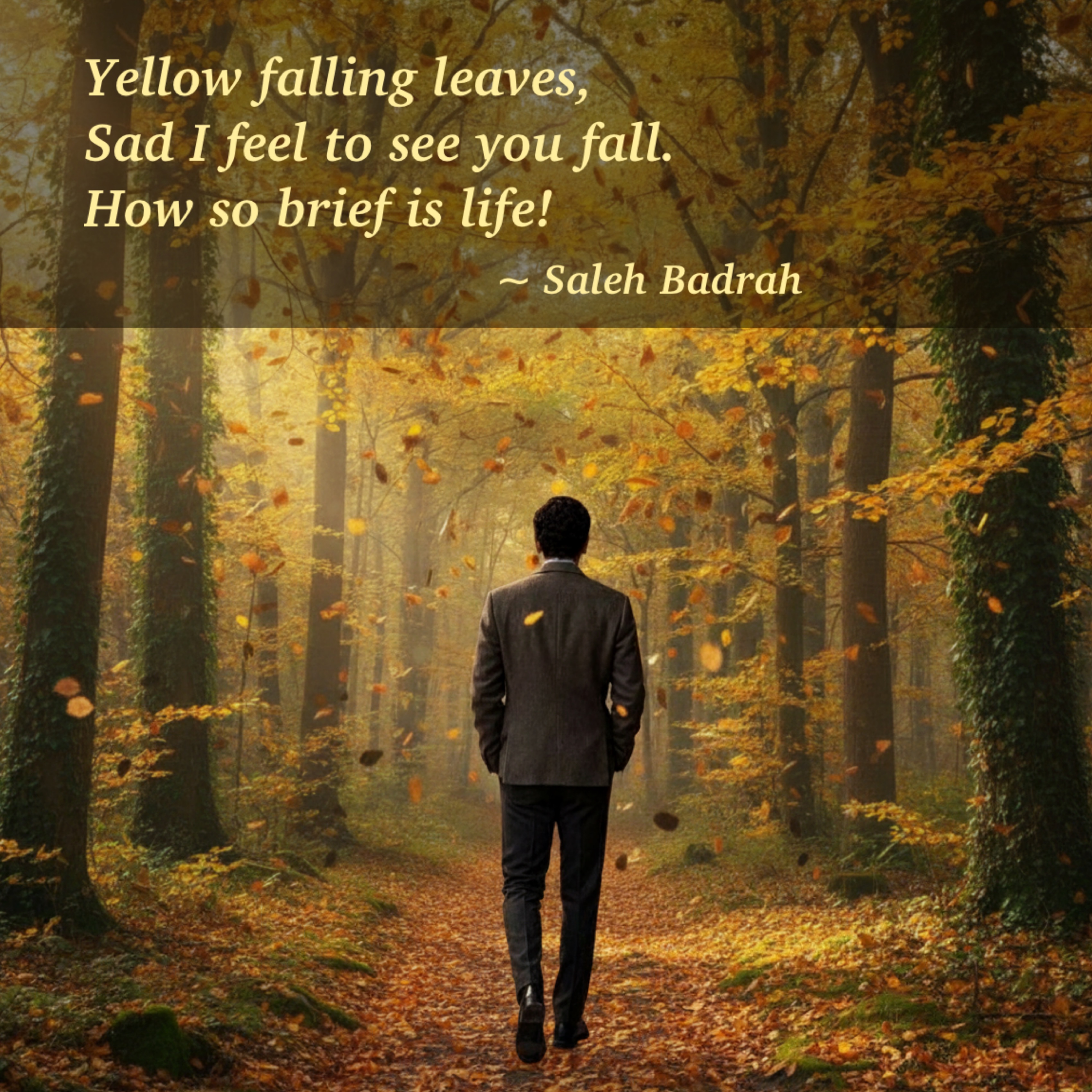 Yellow Falling Leaves