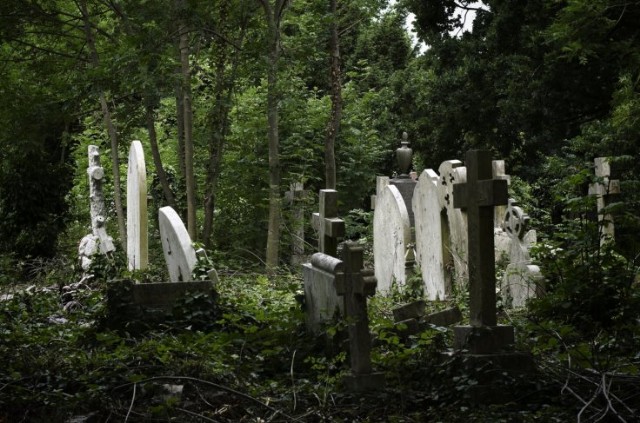 Beside A Graveyard