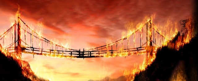 Phoenix Of The Burning Bridge