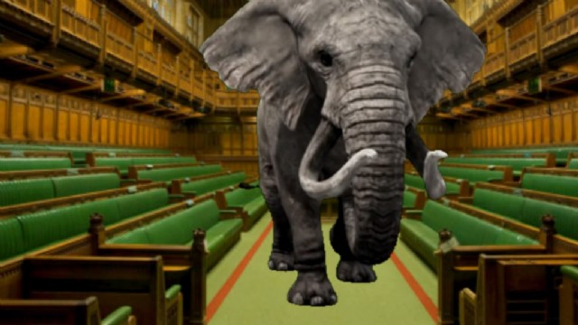 The Elephant In The Room: For Simon: (Inspired By Noam Chomsky)