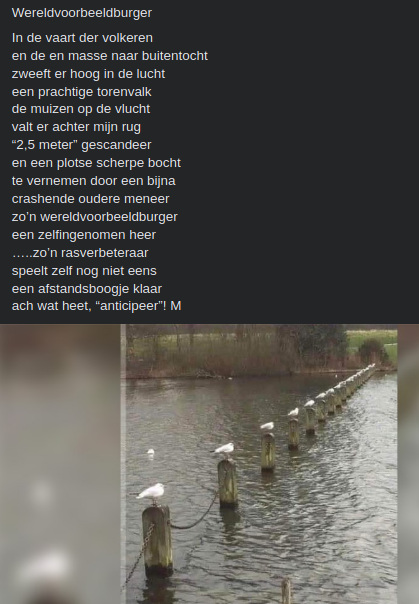 Wereldvoorbeeldburger
