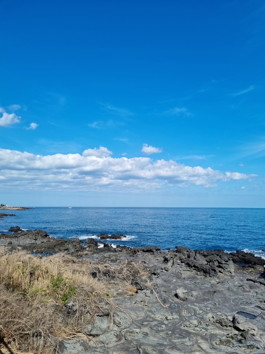 In Jeju Island, When The Wind Passes By