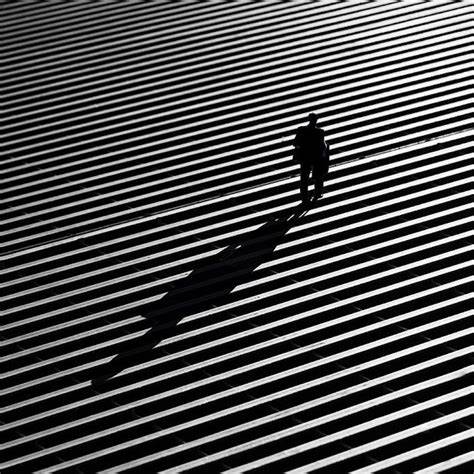 Shadows Of A Soul In Flight