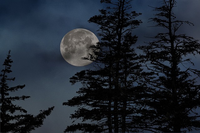 The Moon Visitation