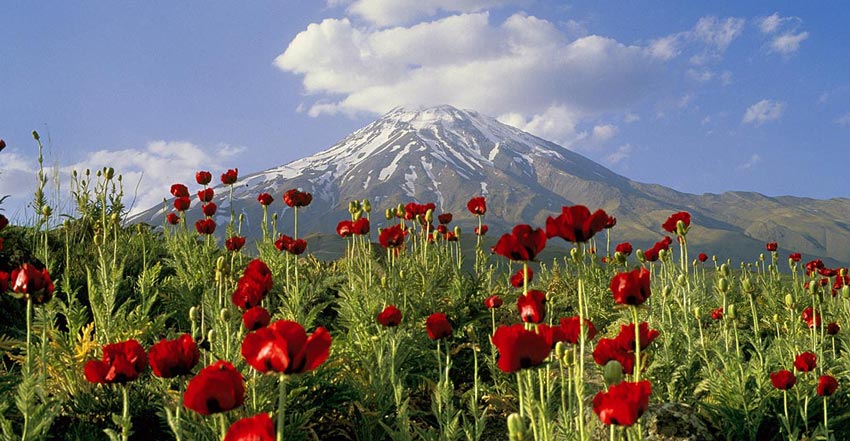 For The Spring And Norouz