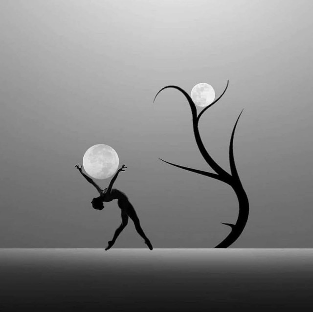 The Moon And The Pine Tree