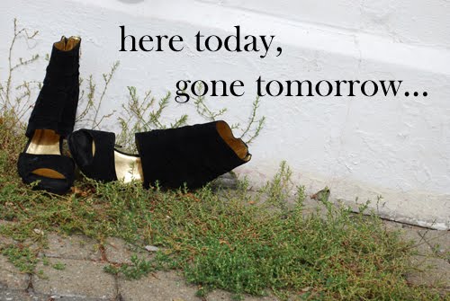 Here Today,  Gone Tomorrow