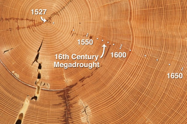 Forestry Is Fascinating (Educational)