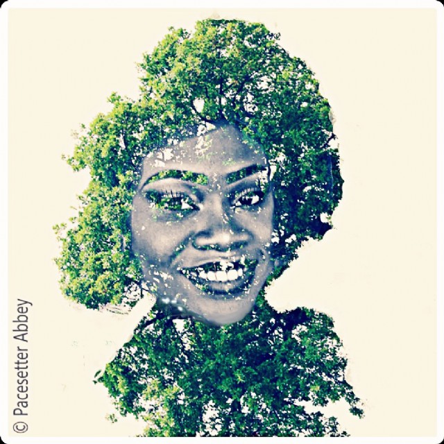 The Human Tree