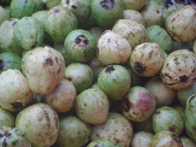 These Guavas You Have Offered