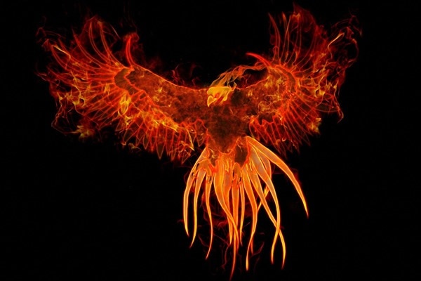 The Phoenix