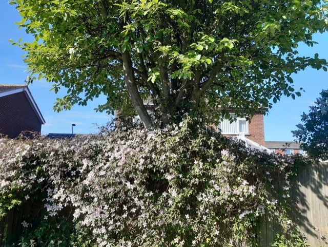 D.I.Y: (Lockdown May 21st,2020)