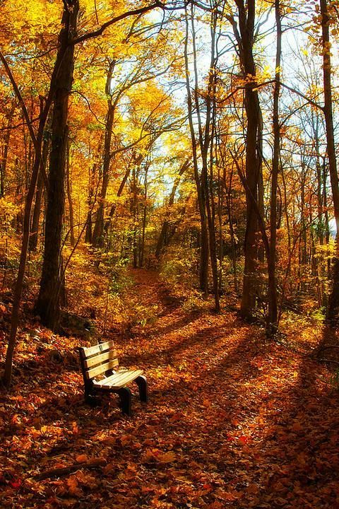 Crunchy Leaves Beneath My Feet